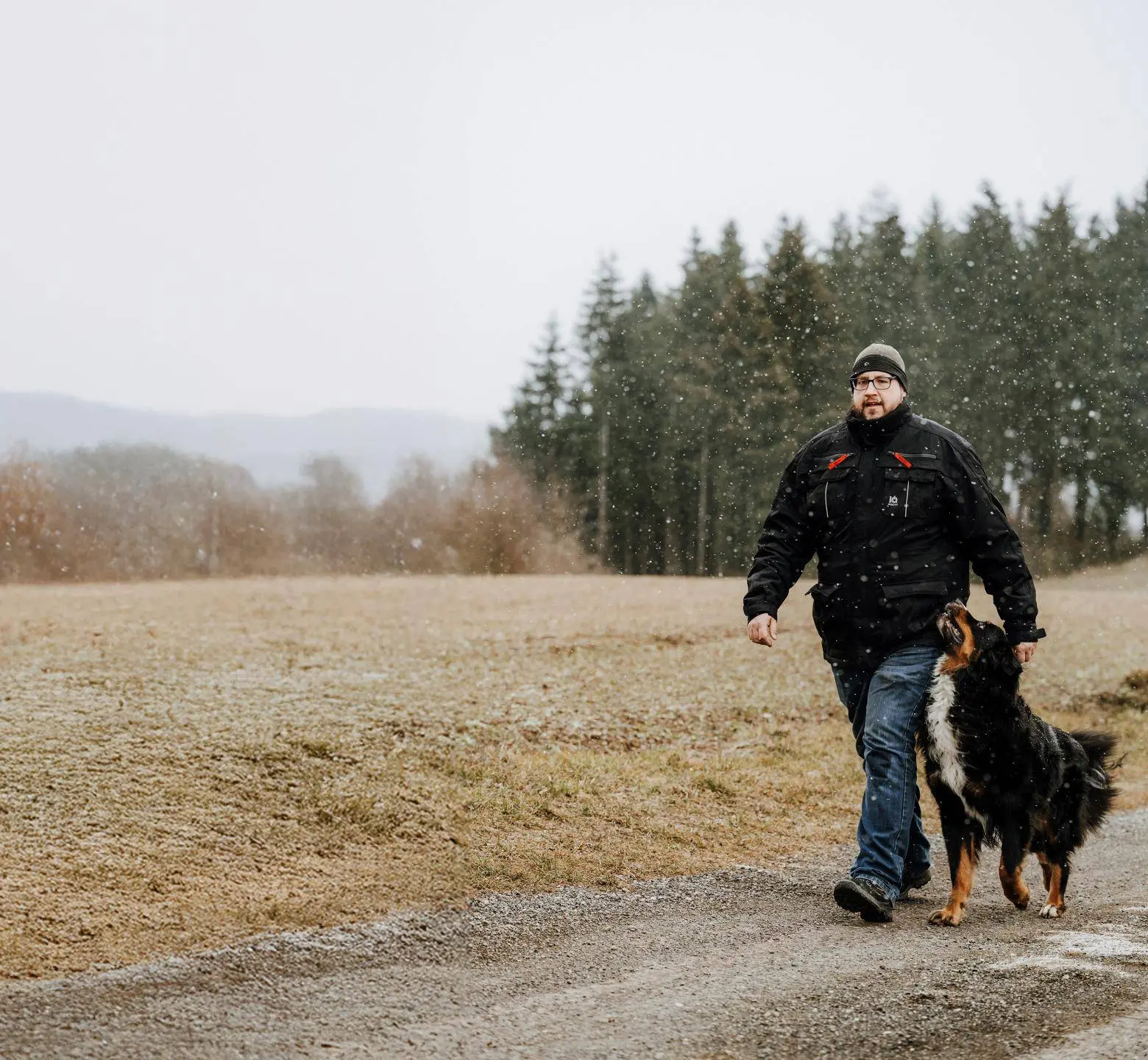 Charlys Hundetraining